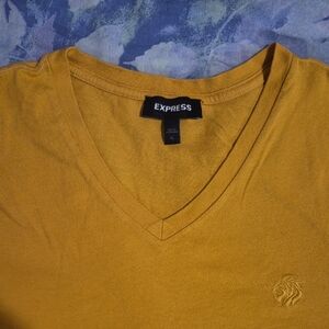 Express Golden V-Neck Tee